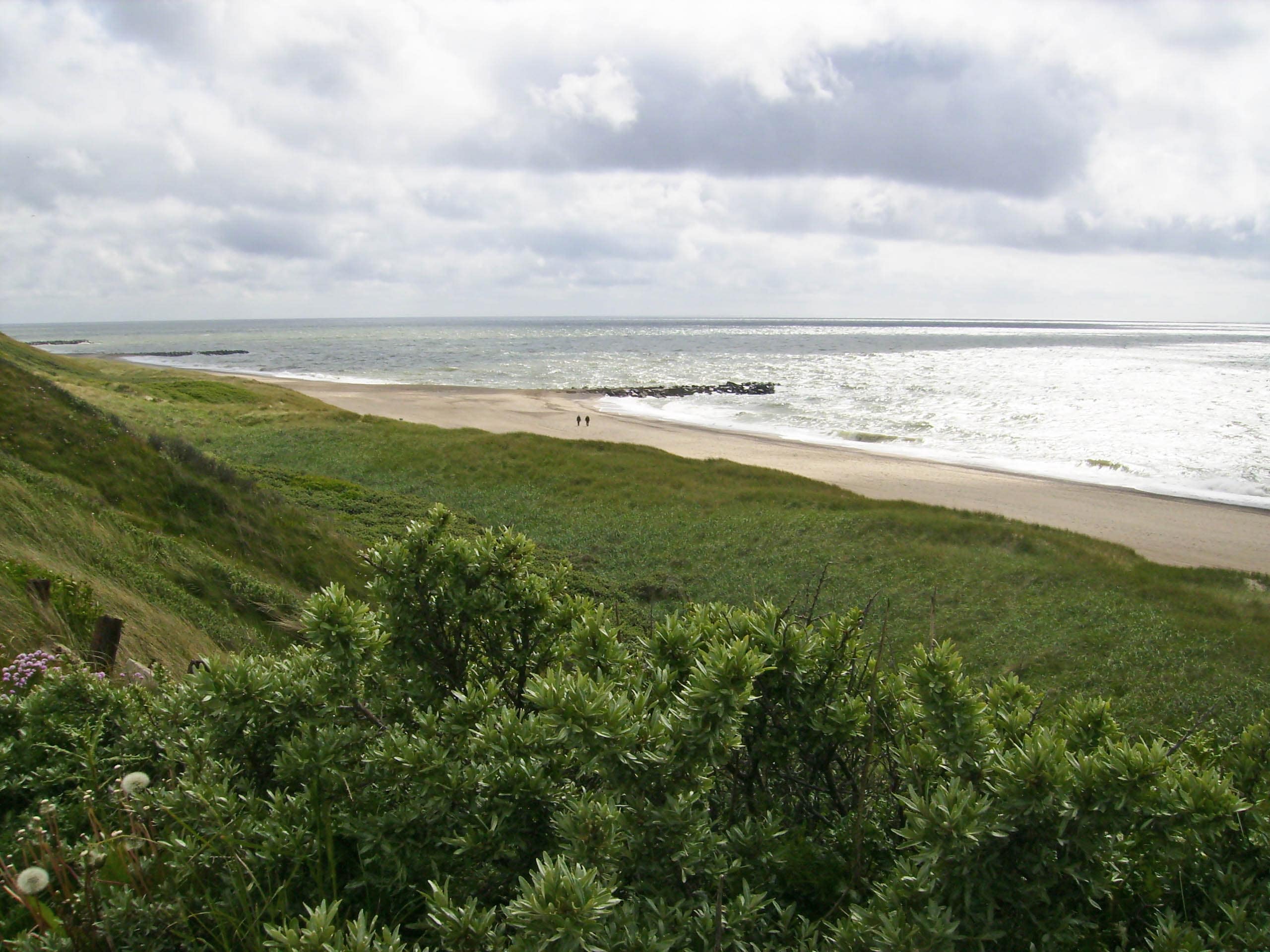 Bovbjerg Camping, Campsite in Ferring, Central Jutland