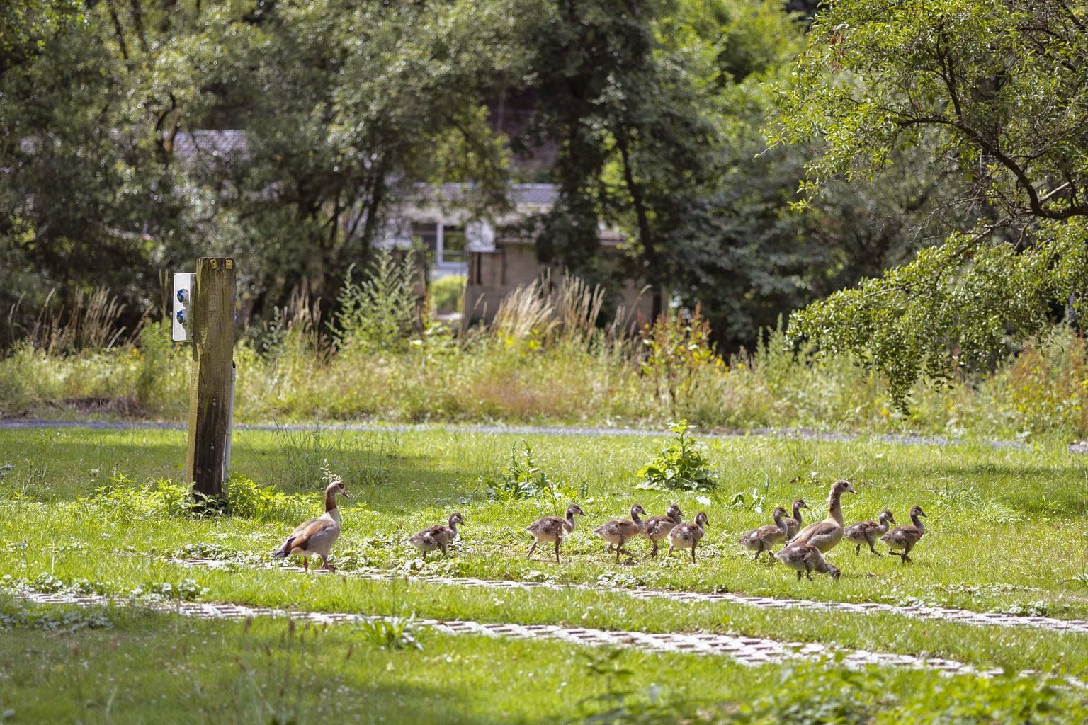 ArdenParks Comblain au Pont