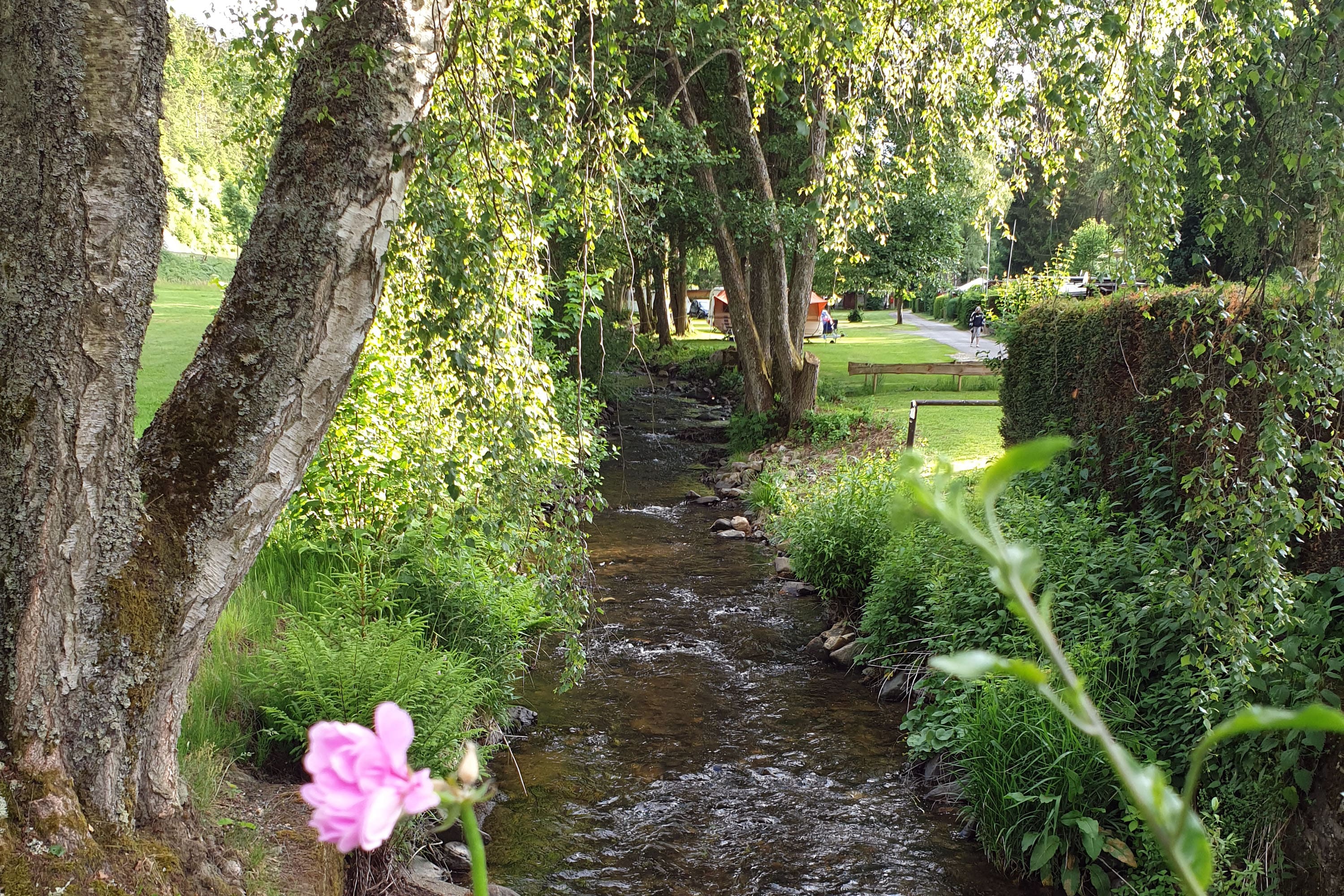 Camping Sensweiler Mühle-Naturlich Camping