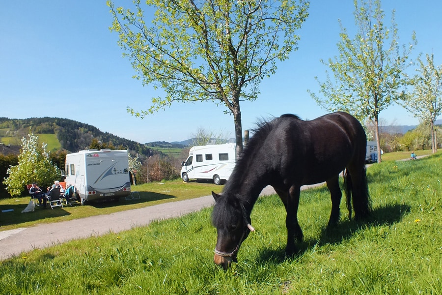 Camping Kirnermartes Hof
