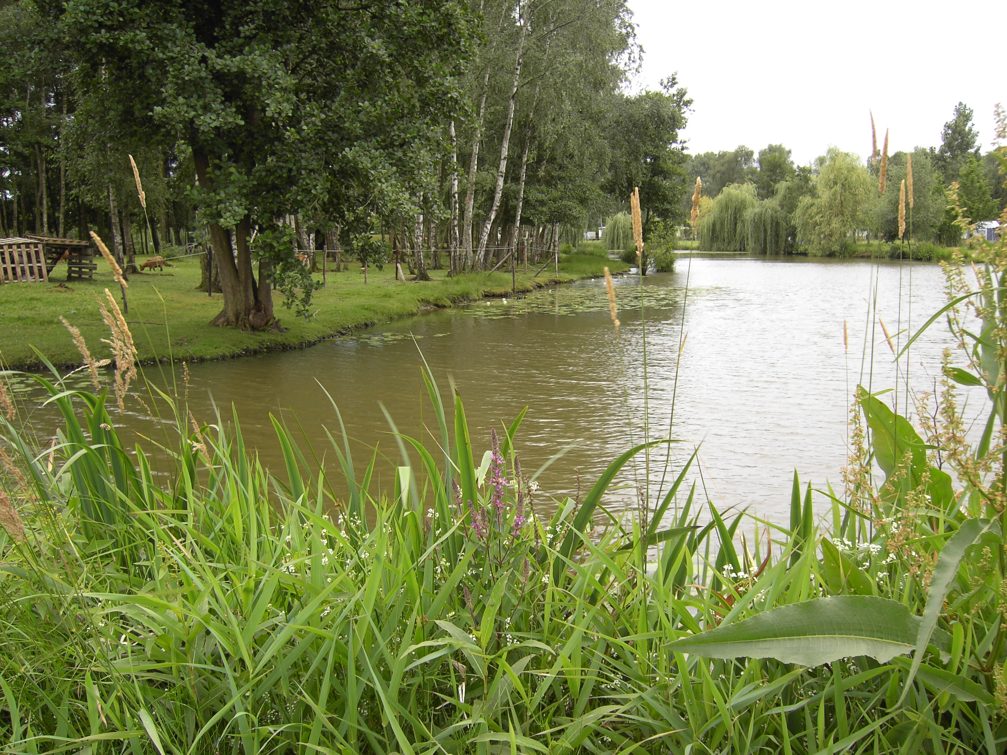 Camping Papillon Kinrooi