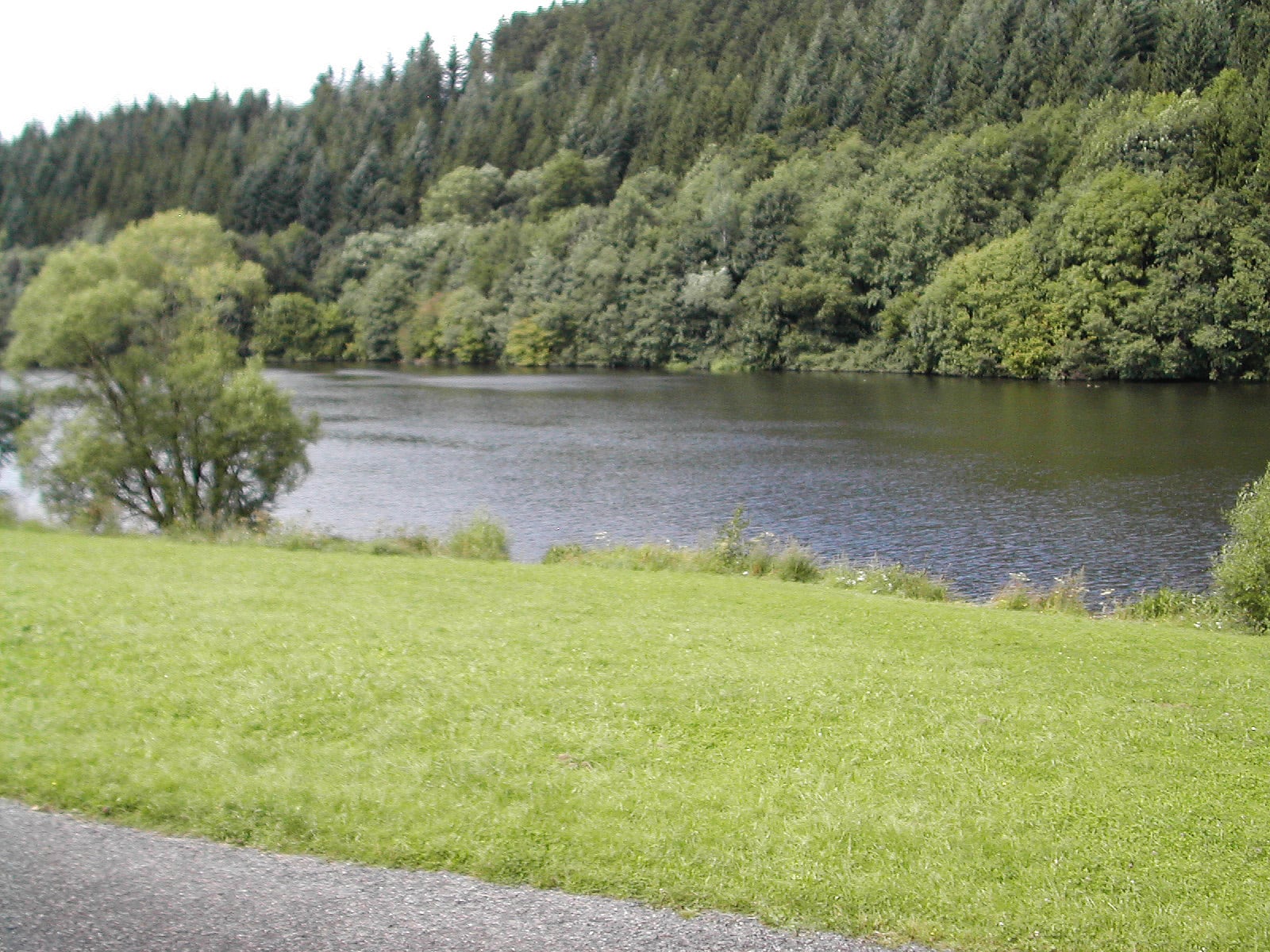 Camping Kronenburger See