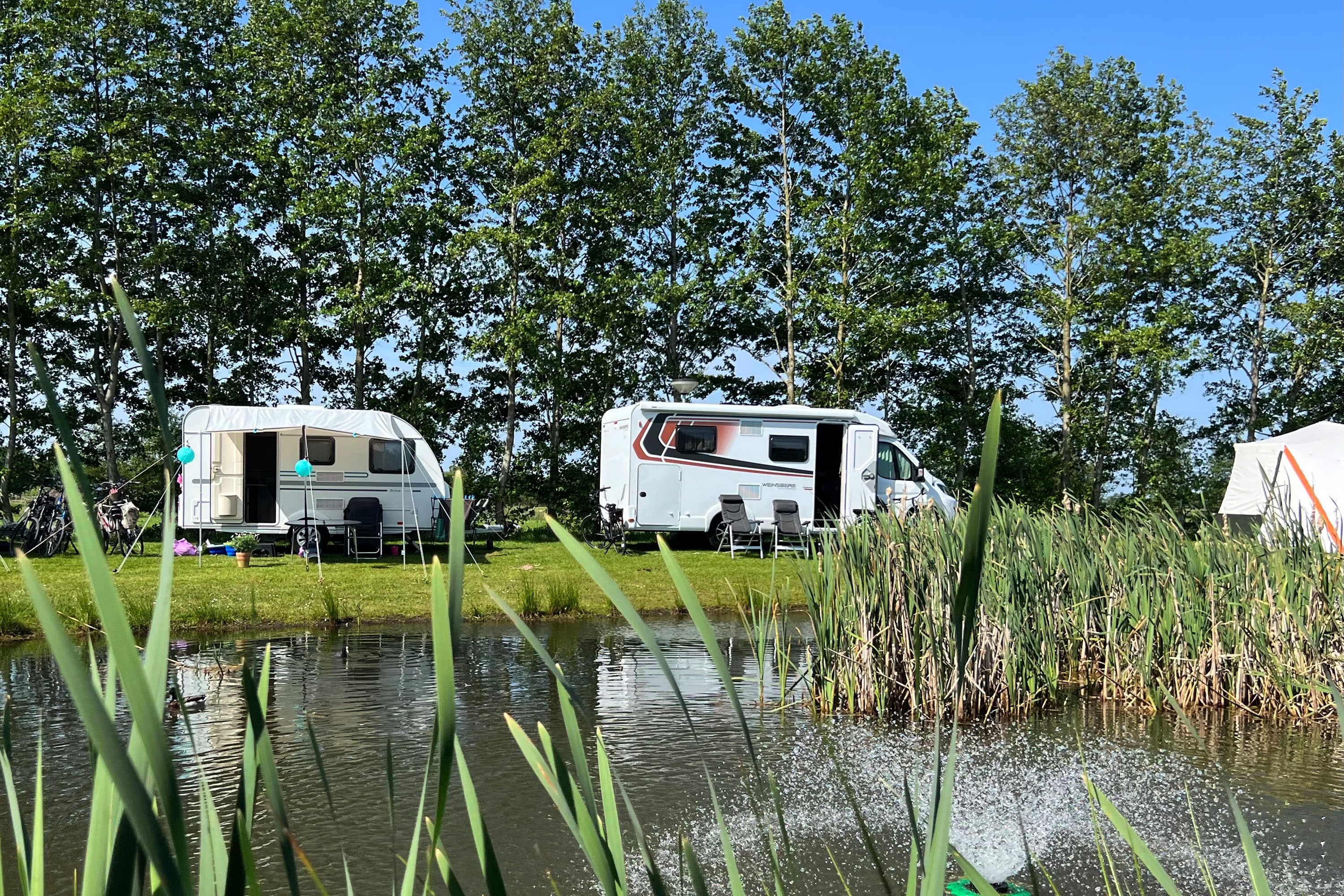 Vakantiepark De Toffe Peer, Campsite in Ruinerwold, Drenthe