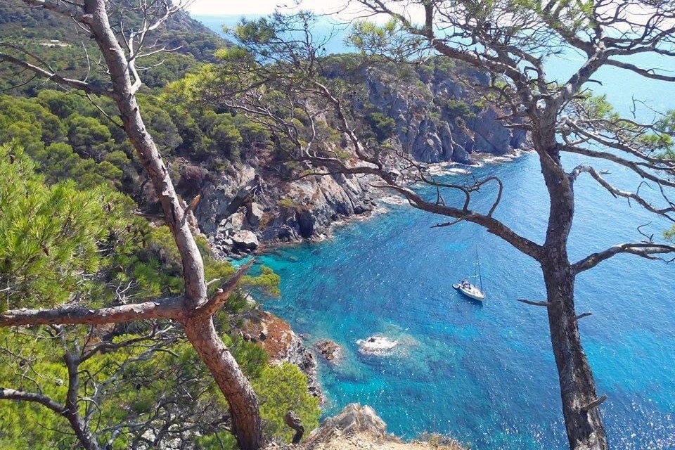 Camping La Brûlade