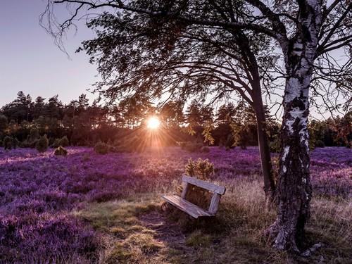 Camping-Park Lüneburger Heide