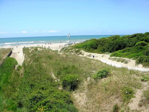 Camping Internazionale Castelfusano