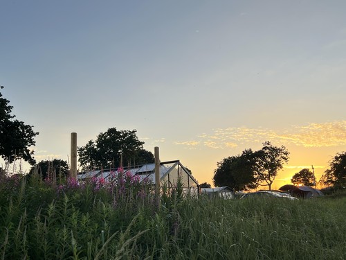Camp Hverringe, Bøgebjerg Strand