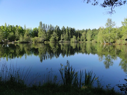 Campsite La Grande Sologne
