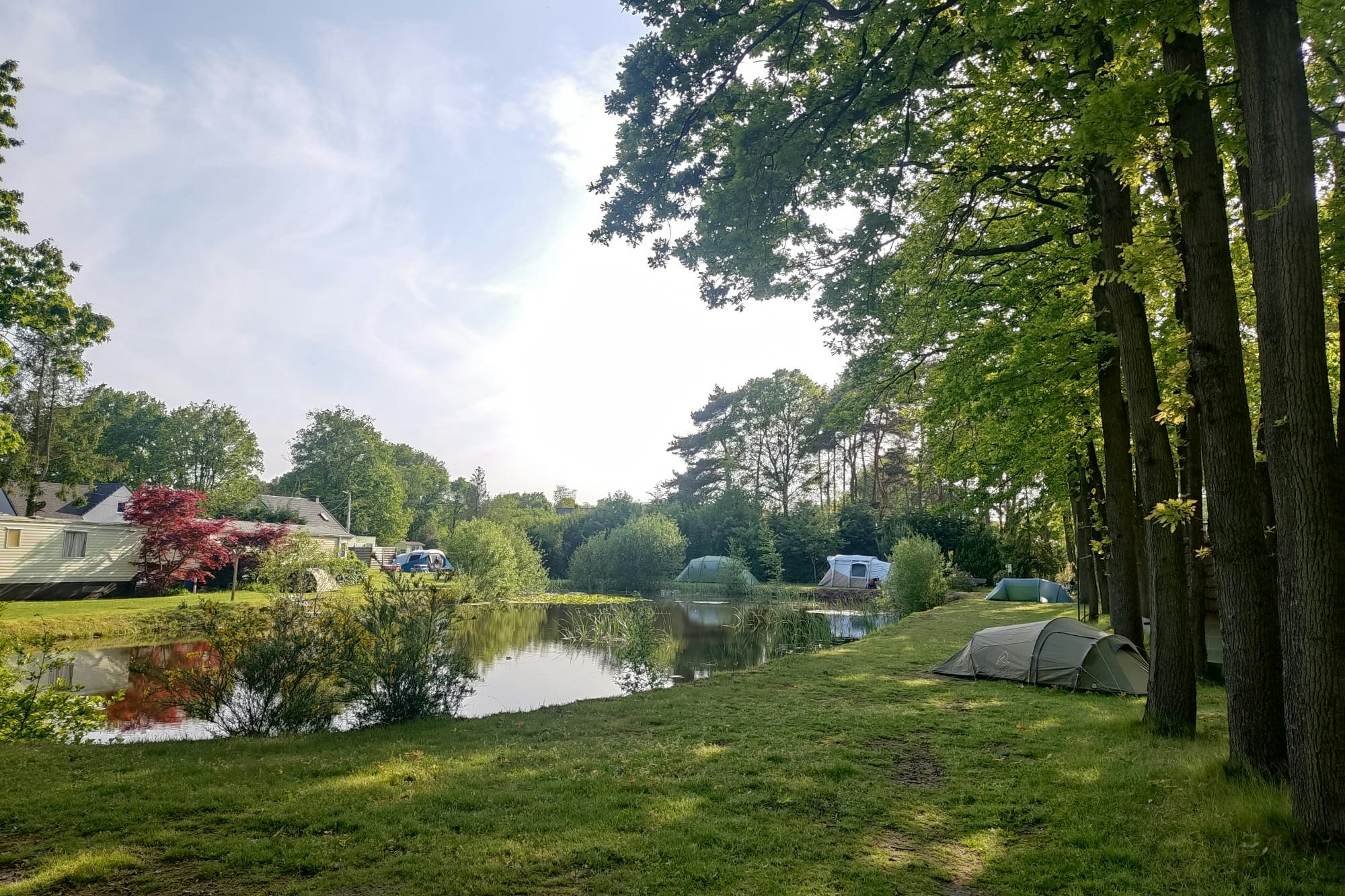 Het Swinnenbos