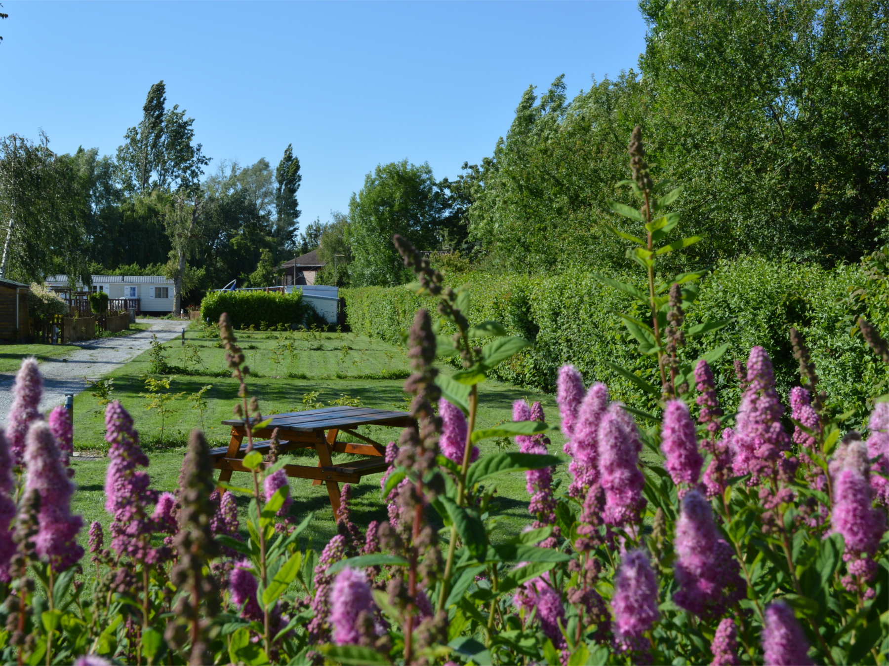 Camping La Petite Forêt