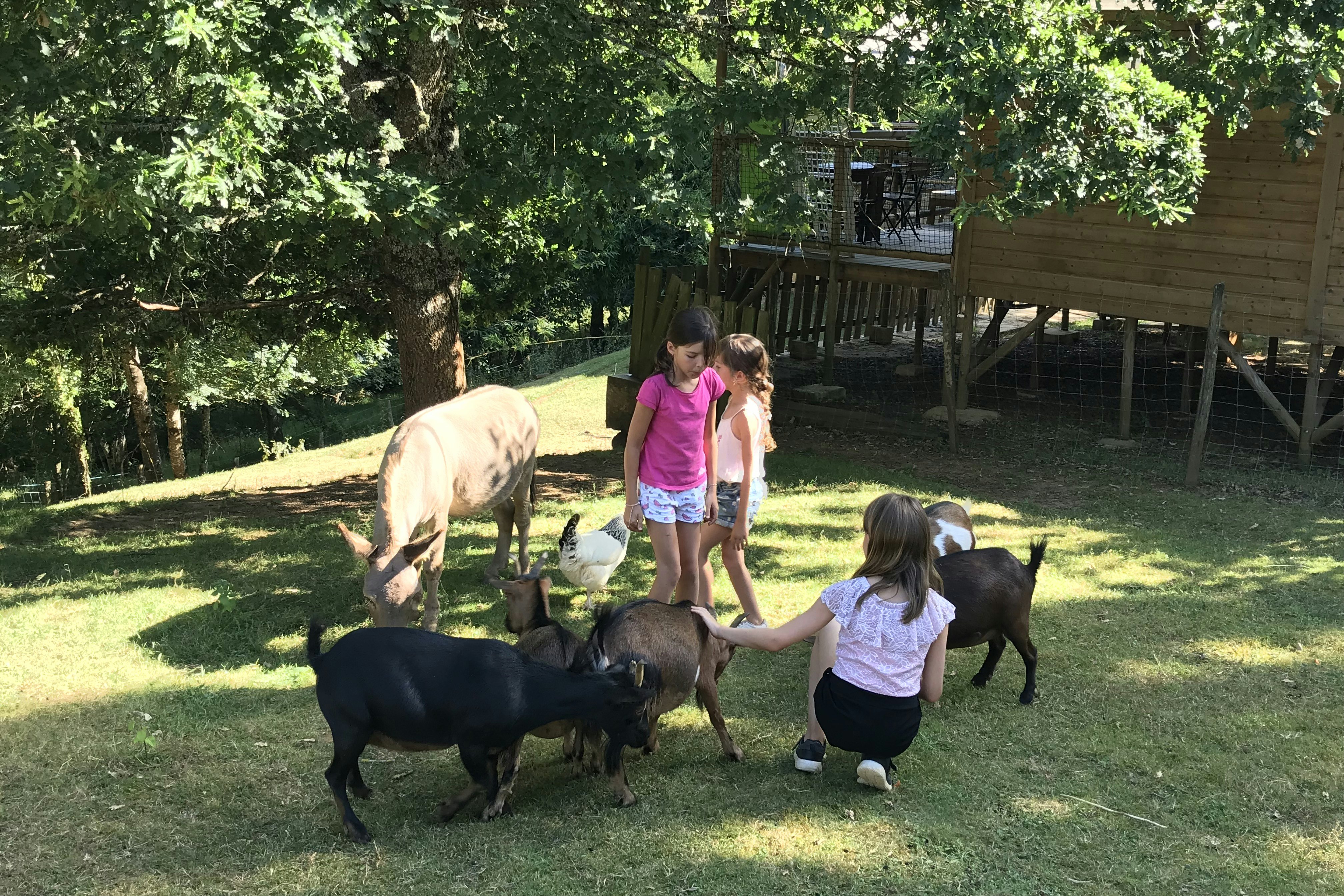 Campsite L'Offrerie