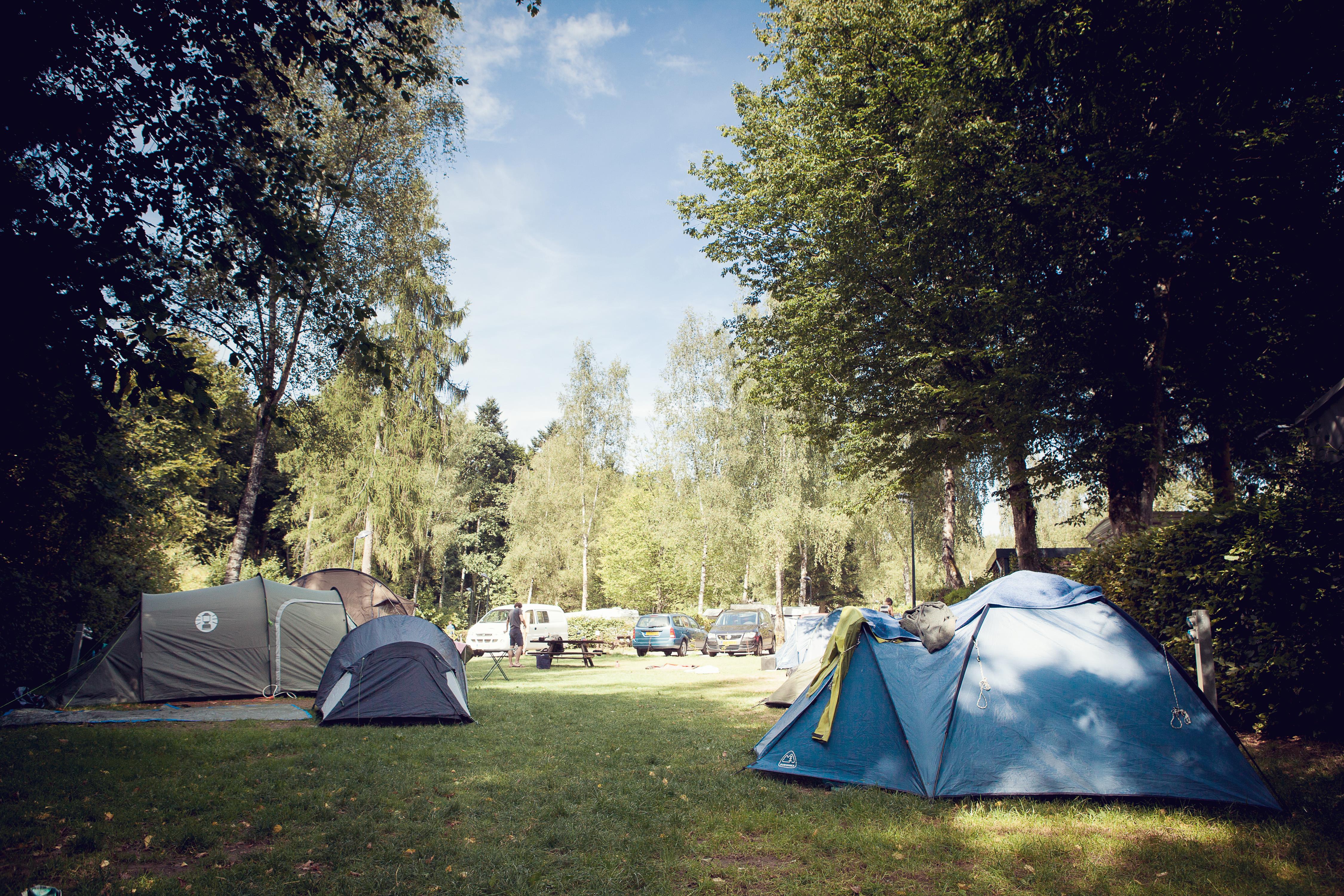 Campsite Martbusch