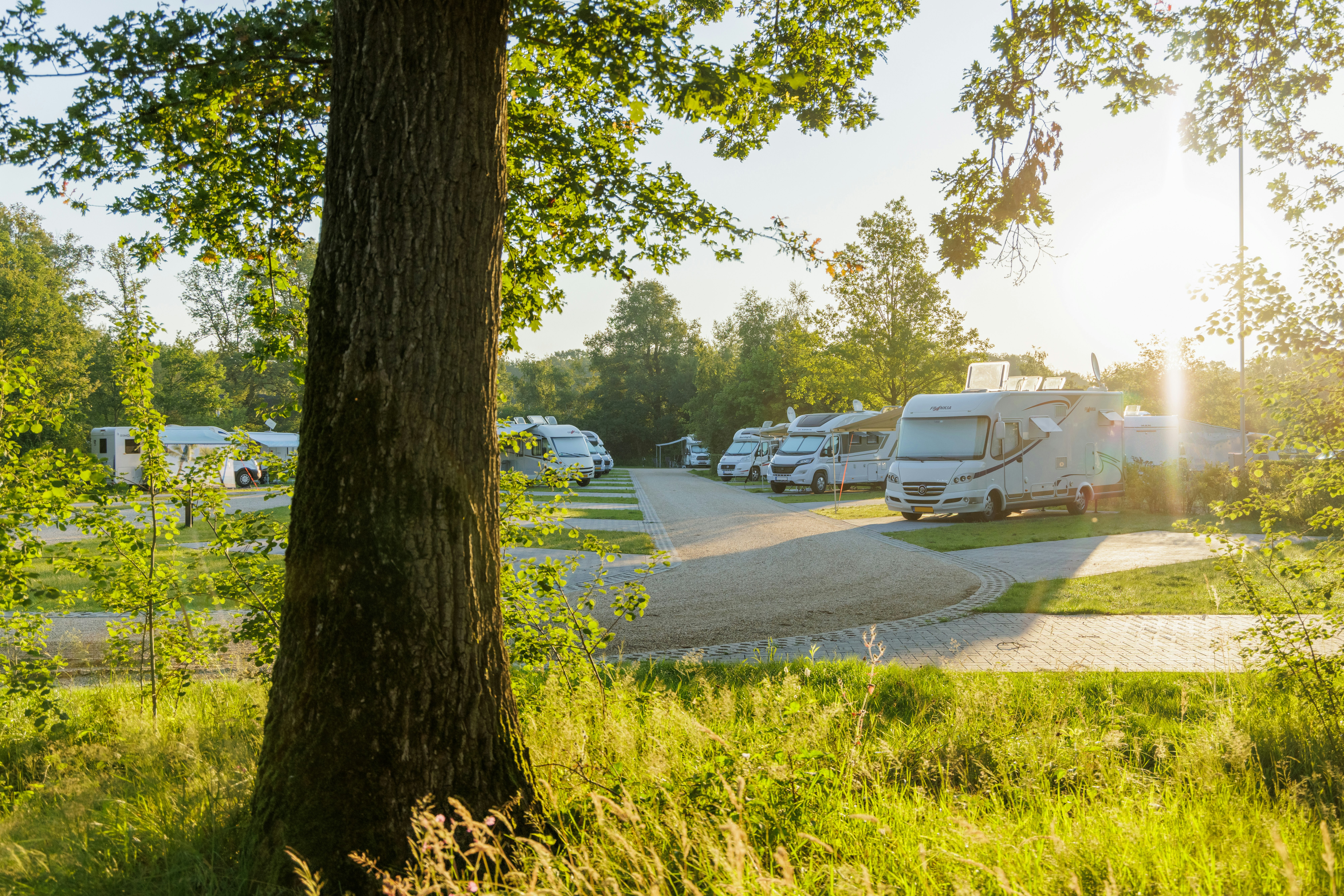 Campsite Vreehorst