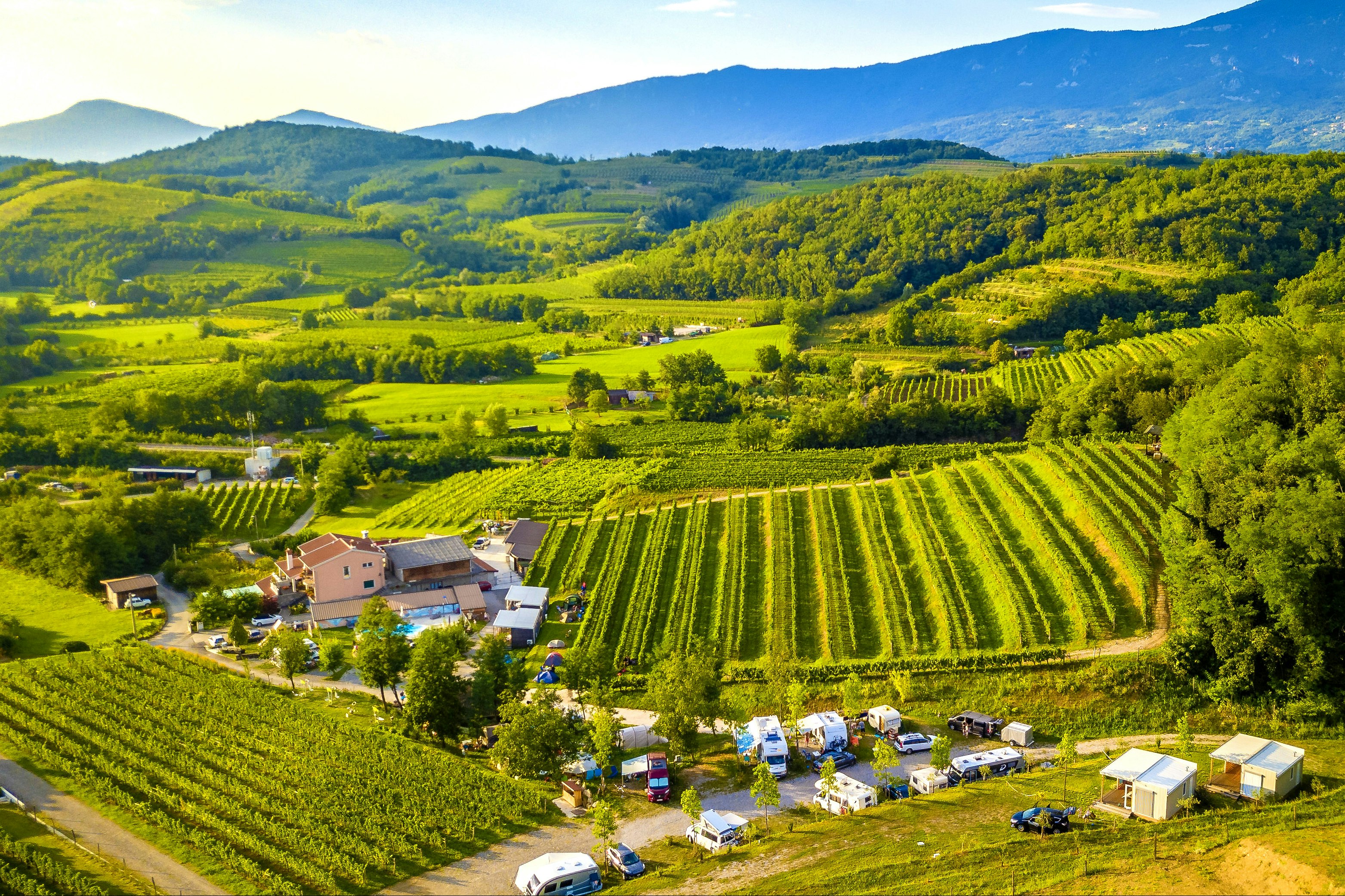 Saksida Wine & Camping Resort