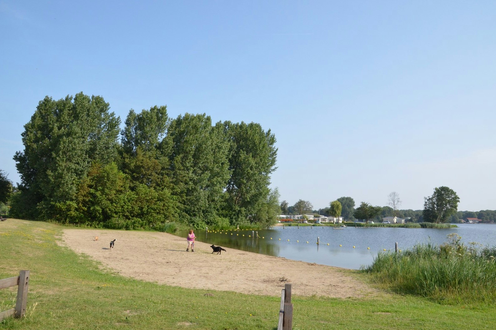 Camp. Jachthaven de Meeuw