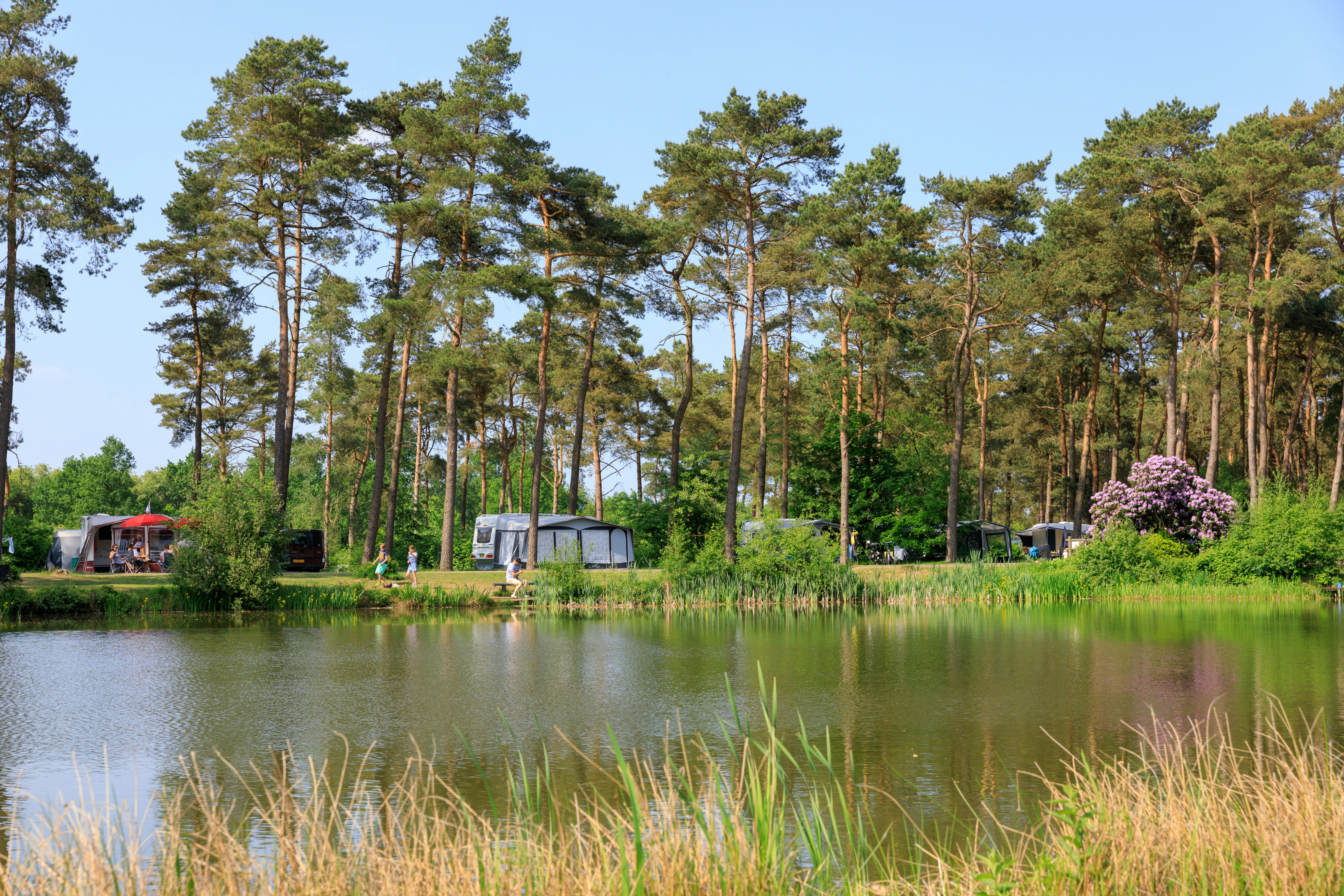 Ardoer Vakantiepark Diana Heide